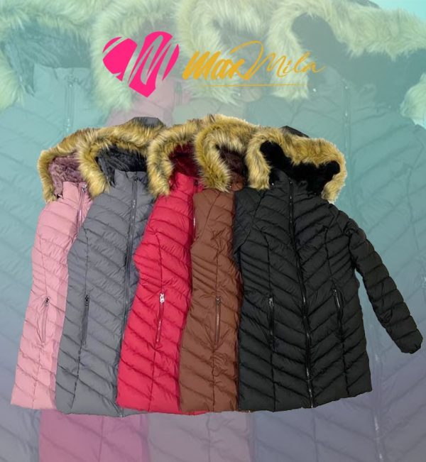 Vestuario Femenino