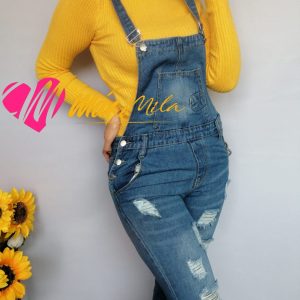 Jardinera Denim